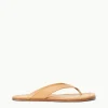 DANTE THONG SLIDE  PORCINI